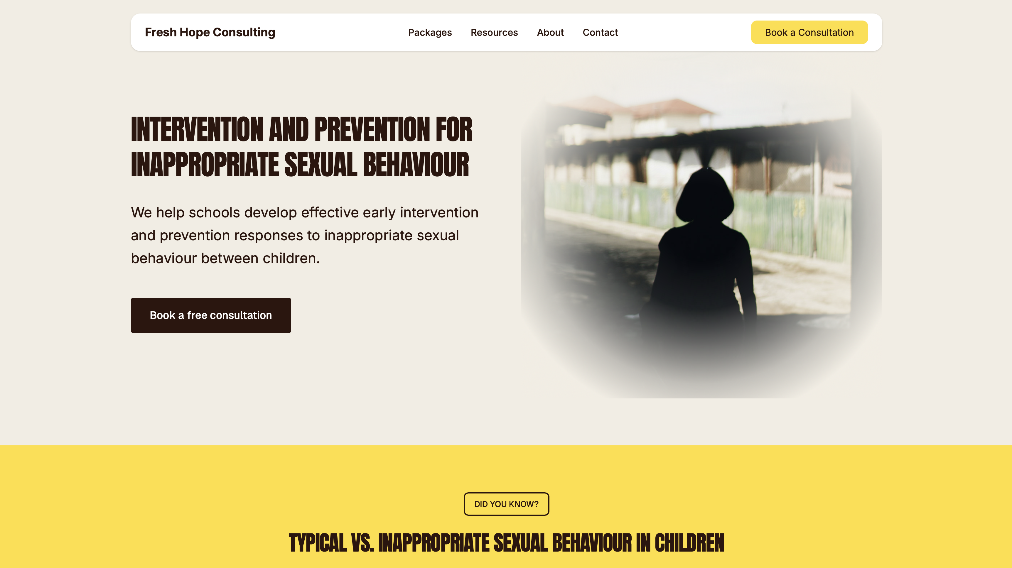 Lead Gen & Web Development - Fresh Hope Consulting is a South African-based non...